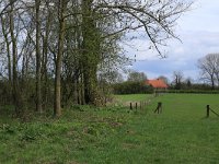 NL, Gelderland, Brummen, Cortenoever 87, Saxifraga-Hans Boll