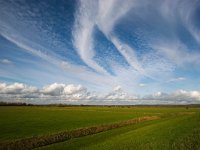 NL, Gelderland, Buren, Eiland van Maurik 1, Saxifraga-Bart Vastenhouw