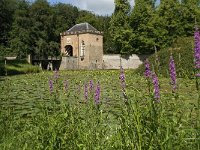 NL, Gelderland, Buren, Zoelen 3, Saxifraga-Willem van Kruijsbergen