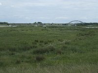 NL, Gelderland, Culemborg, Goilberdingerwaard 2, Saxifraga-Willem van Kruijsbergen