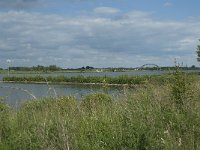 NL, Gelderland, Culemborg, Lek 8, Saxifraga-Willem van Kruijsbergen