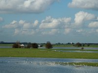 NL, Gelderland, Culemborg, Redichemse Waard 1, Saxifraga-Jan van der Straaten