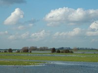 NL, Gelderland, Culemborg, Redichemse Waard 6, Saxifraga-Marijke Verhagen