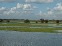 NL, Gelderland, Culemborg, Redichemse Waard 7, Saxifraga-Marijke Verhagen