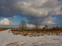 Ermelose heide  Winterlandschap Ermelose heide