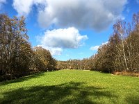 NL, Gelderland, Ermelo, Staverdense beek 1, Saxifraga-Bart Vastenhouw