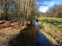 NL, Gelderland, Ermelo, Staverdense beek 9, Saxifraga-Bart Vastenhouw