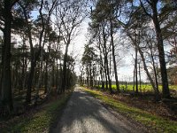 NL, Gelderland, Haaksbergen 3, Saxifraga-Bart Vastenhouw