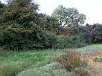 NL, Gelderland, Heumen, Overasseltsche en Hatertsche vennen 263, Saxifraga-Hans Boll