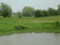 NL, Gelderland, Lochem, De Ravenswaarden, Grote Blokken 1, Saxifraga-Willem van Kruijsbergen