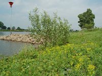 NL, Gelderland, Lochem, De Ravenswaarden, Grote Blokken 5, Saxifraga-Willem van Kruijsbergen