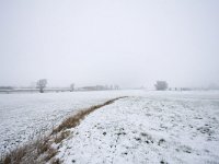 NL, Gelderland, Lochem, IJsel 2, Saxifraga-Bart Vastenhouw