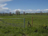 NL, Gelderland, Maasdriel, Buitenpolder Heerewaarden 1, Saxifraga-Jan van der Straaten