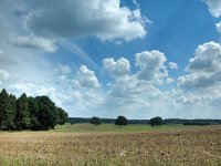 NL, Gelderland, Montferland, Elten 4, Saxifraga-Bart Vastenhouw