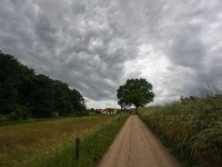 NL, Gelderland, Montferland, s Heerenberg 1, Saxifraga-Bart Vastenhouw