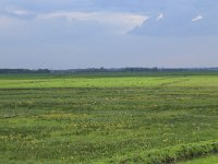 NL, Gelderland, Nijkerk, Arkemheen 6, Saxifraga-Hans Boll