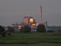 NL, Gelderland, Nijmegen 2, Saxifraga-Harry van Oosterhout