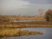 NL, Gelderland, Nijmegen, Ooypolder 1, Foto Fitis-Sytske Dijksen