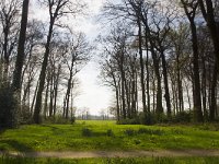 NL, Gelderland, Putten, Landgoed Oldenaller 3, zichtas, vista,  Saxifraga-Jan Nijendijk