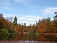 NL, Gelderland, Rheden, Beekhuizerbeek 2, Saxifraga-Bart Vastenhouw