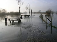 NL, Gelderland, Rheden, Havikswaard 19, Saxifraga-Henk Sierdsema