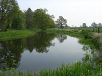 NL, Gelderland, Rheden, Hof te Rheden 11, Saxifraga-Henk Sierdsema