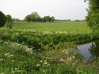 NL, Gelderland, Rheden, Hof te Rheden 17, Saxifraga-Henk Sierdsema