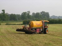 NL, Gelderland, Rheden, Hof te Rheden 25, Saxifraga-Henk Sierdsema