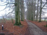 NL, Gelderland, Rheden, Middachten 1, Saxifraga-Henk Sierdsema