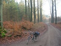 NL, Gelderland, Rheden, Middachten 5, Saxifraga-Henk Sierdsema