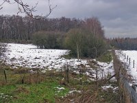 NL, Gelderland, Rheden, NP Veluwezoom 8, Saxifraga-Henk Sierdsema