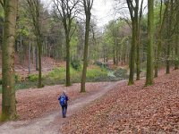 NL, Gelderland, Rheden, Nationaal Park Veluwezoom near Rheden 5, Saxifraga-Tom Heijnen