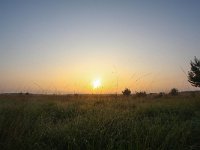 NL, Gelderland, Rheden, Rhedense Heide 25, Saxifraga-Bart Vastenhouw