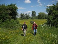 NL, Gelderland, Rijnwaarden, Rijnstrangen 5, Saxifraga-Henk Sierdsema