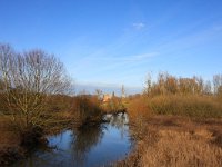 NL, Gelderland, Voorst, Kasteel Nijenbeek 1, Saxifraga-Bart Vastenhouw