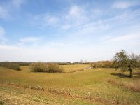 NL, Gelderland, Voorst, Kasteel Nijenbeek 2, Saxifraga-Bart Vastenhouw