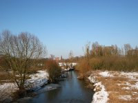 NL, Gelderland, Voorst, Kasteel Nijenbeek 3, Saxifraga-Bart Vastenhouw