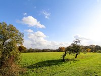 NL, Gelderland, Voorst, Oude Bandijk 2, Saxifraga-Bart Vastenhouw