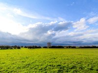 NL, Gelderland, Voorst, Rammelwaard 4, Saxifraga-Bart Vastenhouw