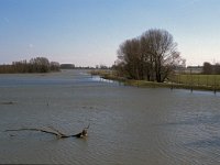 NL, Gelderland, West Betuwe, Heesselt 4, Saxifraga-Jan van der Straaten