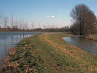 NL, Gelderland, West Betuwe, Heesselt 5, Saxifraga-Jan van der Straaten