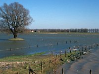 NL, Gelderland, West Betuwe, Heesselt 9, Saxifraga-Jan van der Straaten