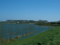 NL, Gelderland, West Betuwe, Varik 9, Saxifraga-Jan van der Straaten