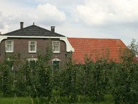 NL, Gelderland, Wijchen, Balgoij 2, Saxifraga-Hans Boll