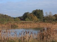 NL, Gelderland, Wijchen, Wijchensche Vennen 1, Saxifraga-Hans Boll