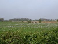 NL, Gelderland, Wijchen, Wijchensche Vennen 192, Saxifraga-Hans Boll