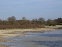 NL, Gelderland, Wijchen, Wijchensche Vennen 200, Saxifraga-Hans Boll