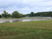 NL, Gelderland, Wijchen, Wijchensche Vennen 218, Saxifraga-Hans Boll