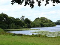 NL, Gelderland, Wijchen, Wijchensche Vennen 31, Saxifraga-Hans Boll