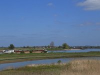 NL, Gelderland, Zaltbommel, Breemwaard 23, Saxifraga-Hans Boll